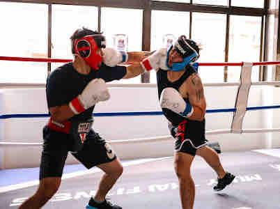 Daniel kickboxing - 