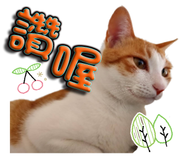 林仕航 - 貓咪貼圖範本