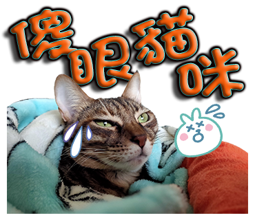 林仕航 - 貓咪貼圖範本