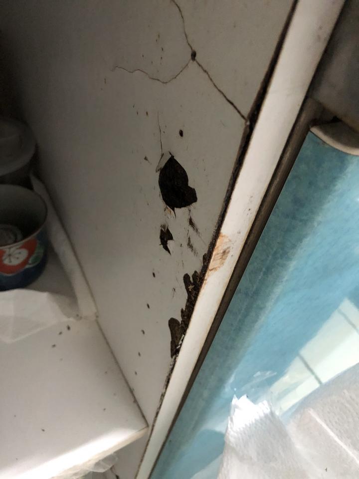 廚房翻新案件圖片