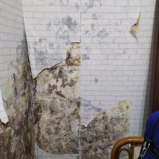 語堂防水抓漏工程 - 萬華康定路壁癌施工前照片