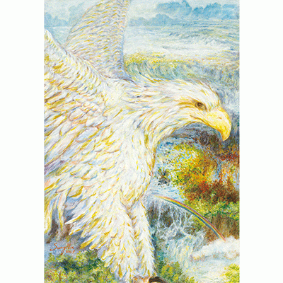 Sunny 老師 - 智慧的眼  Sunny老師作品