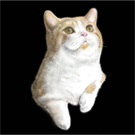 kiwi 設計工作室 - 寫實畫