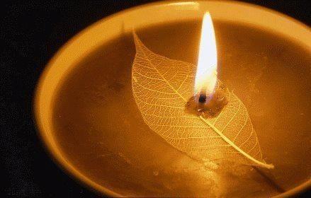 撫觸SPA按摩/到府按摩 - 