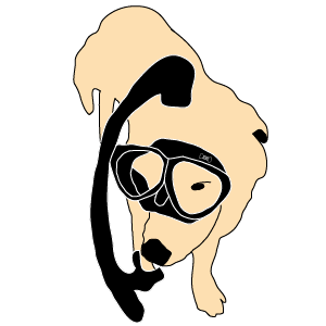 VL.Studio - 貼圖製作 VL.Studio - 貼圖製作