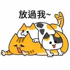 miss多奇 - 貼圖繪製