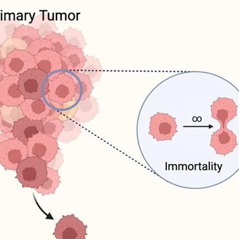 提供翻譯社期刊服務的專家Jam