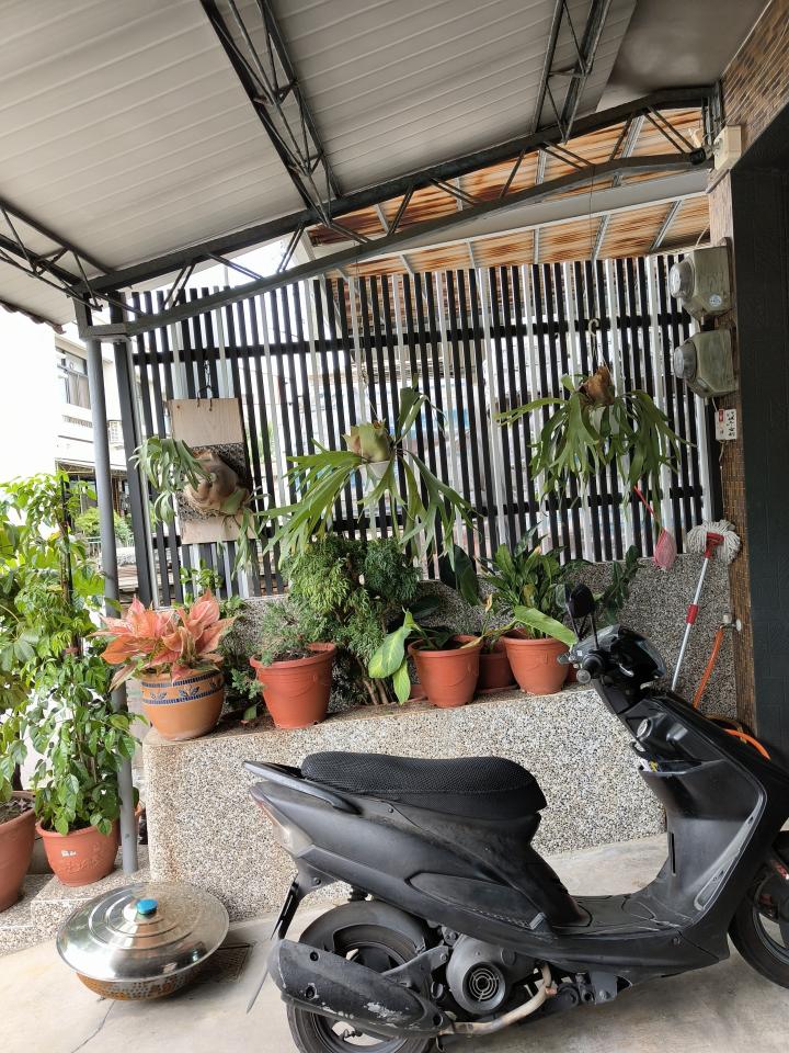 園藝設計案件圖片