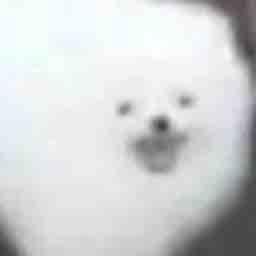 提供制作vtuber服務的專家張愛苓