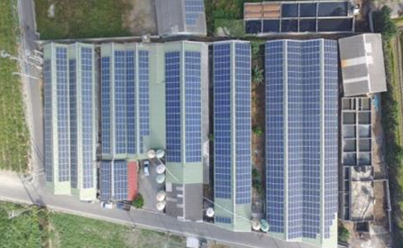 寶豐能源科技/朋誠工商顧問-詹先生 - 畜牧場 寶豐能源科技/朋誠工商顧問-詹先生 - 畜牧場