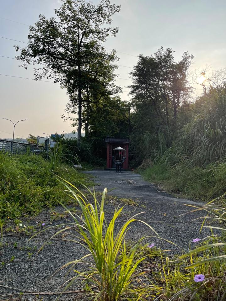 園藝維護案件圖片