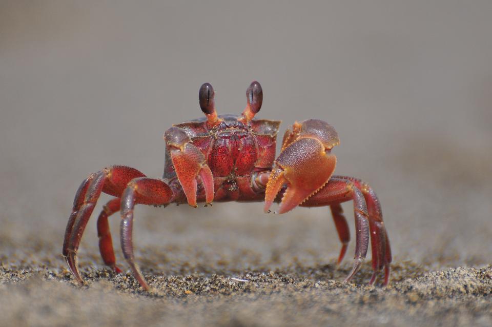 美編設計案件圖片