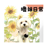 安西 - 可愛的瑪爾貼圖