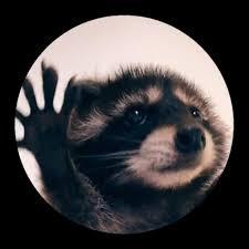 提供書籍封面排版服務的專家楊佳欣