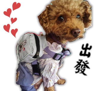 愛紫個人工作室 - 貼圖製作