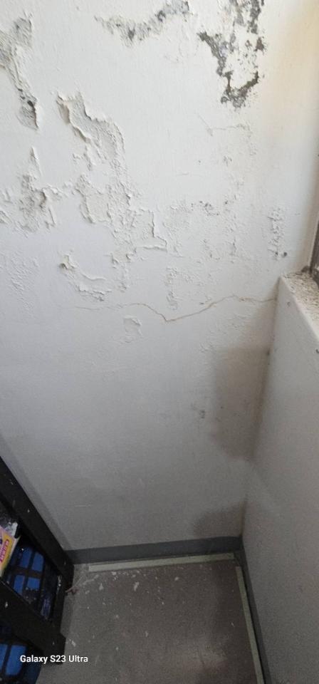 壁癌處理案件圖片