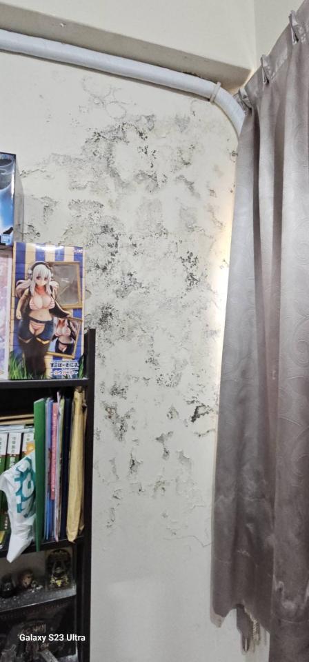 壁癌處理案件圖片