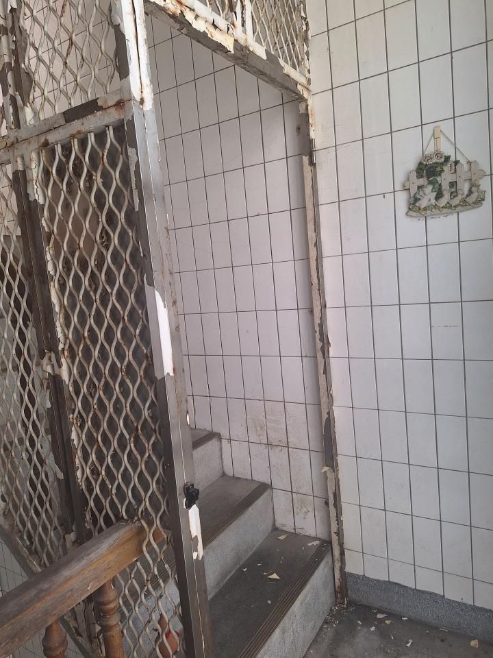 行政程序爭議案件圖片