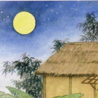 提供Python自動化服務的專家ST