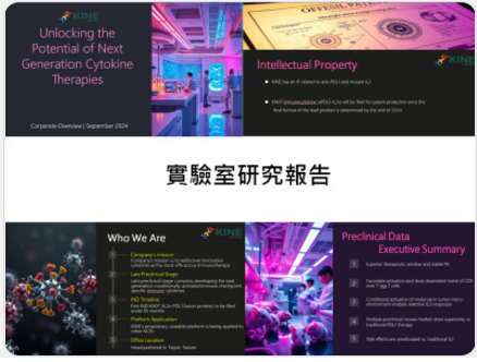 論析工坊 - 實驗室研究報告