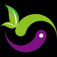 提供Shopify Wix Shopline架站服務的專家魔法市場 MageMarket