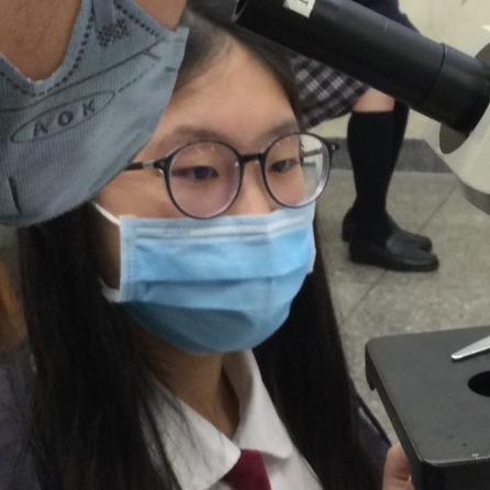 提供capcut教学服務的專家王仕捷