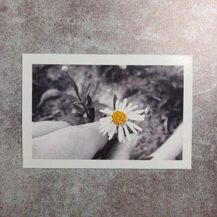 筍筍 - 照片刺繡