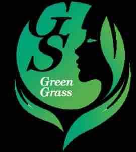 提供綠家俱服務的專家綠之草美學