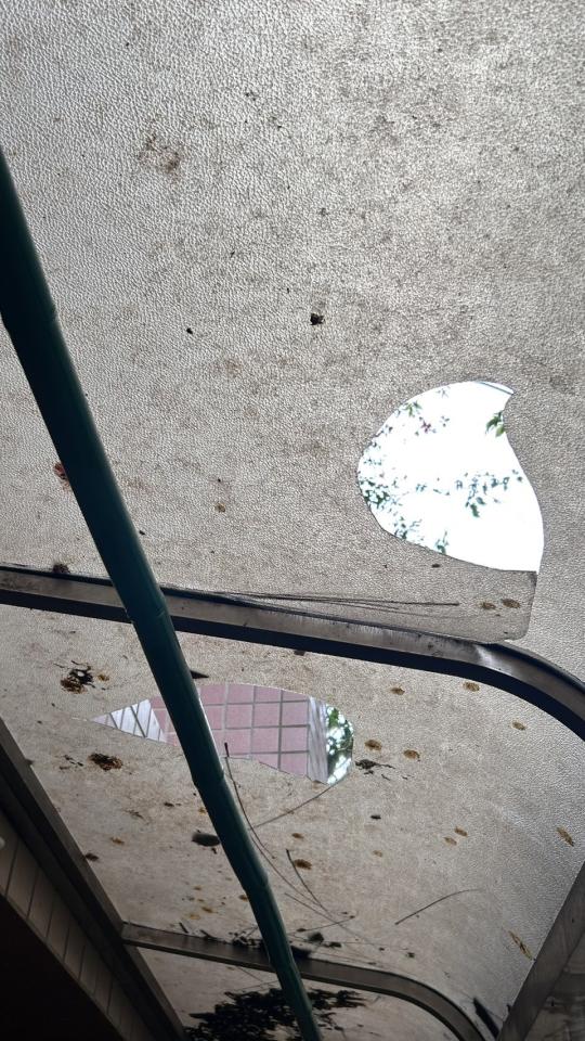 採光罩案件圖片 採光罩案件圖片