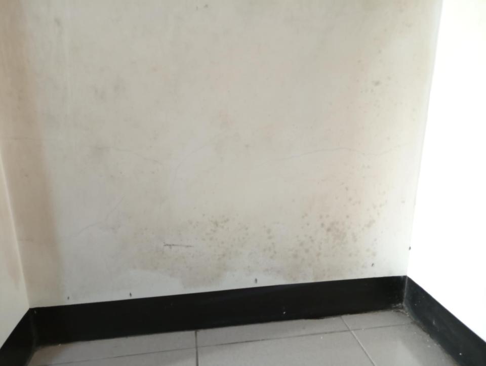 油漆工程案件圖片