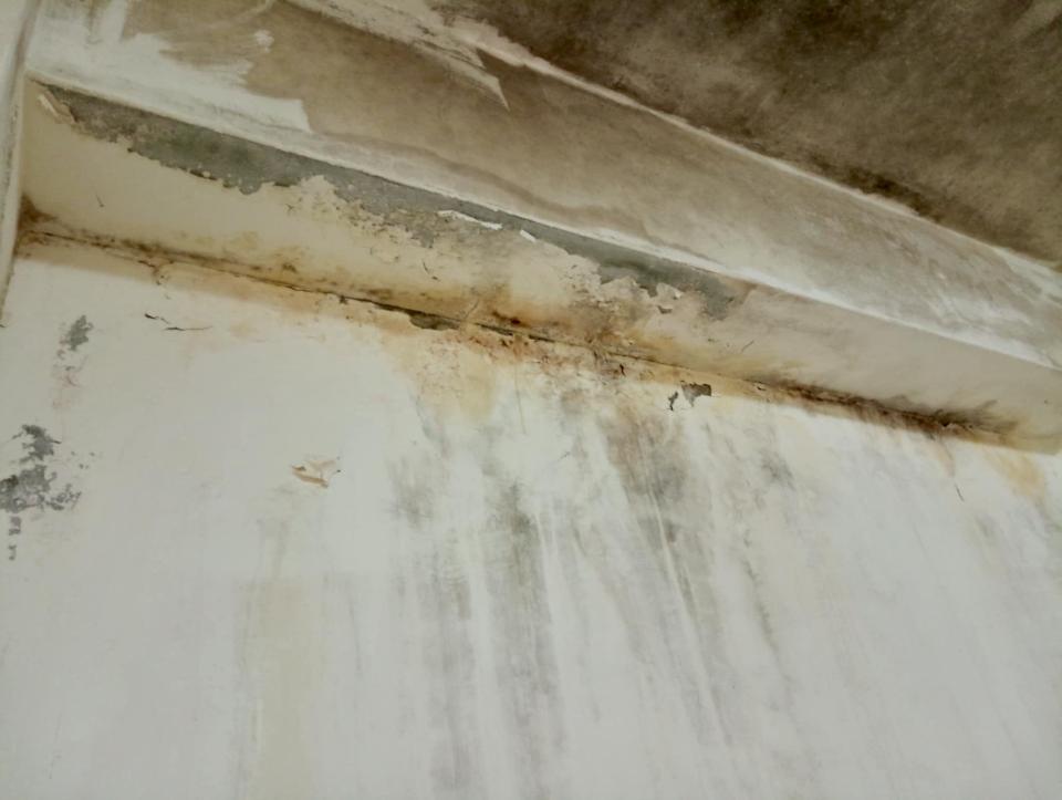 油漆工程案件圖片