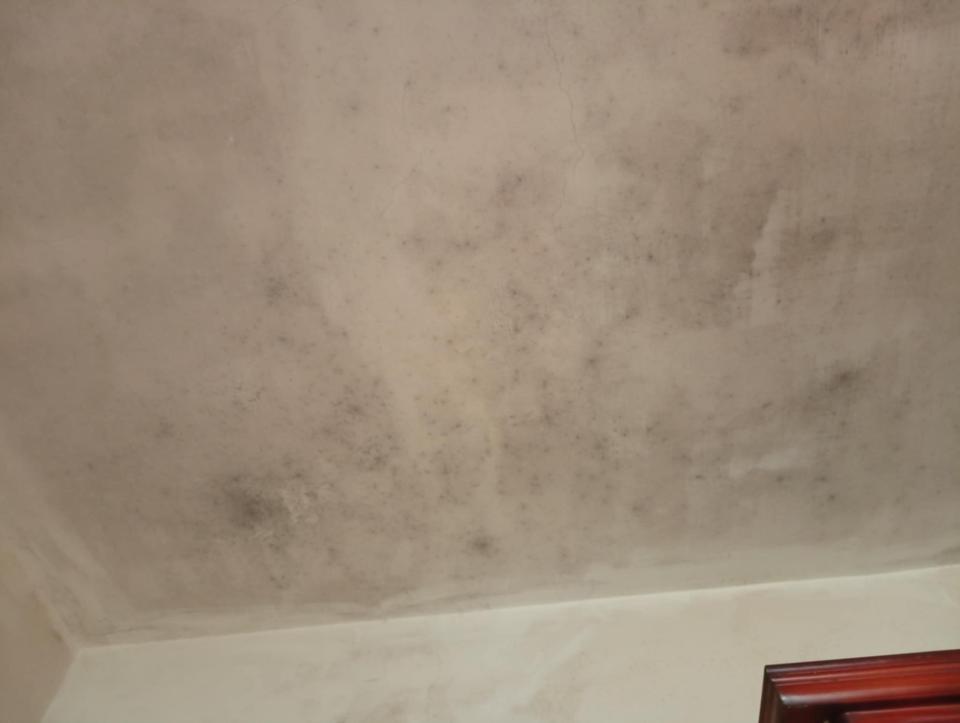 油漆工程案件圖片