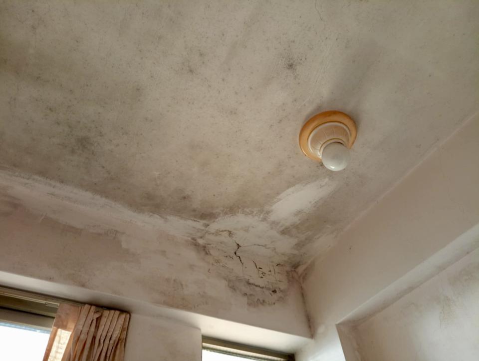 油漆工程案件圖片