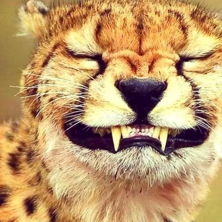 提供搬東西服務的專家許先生