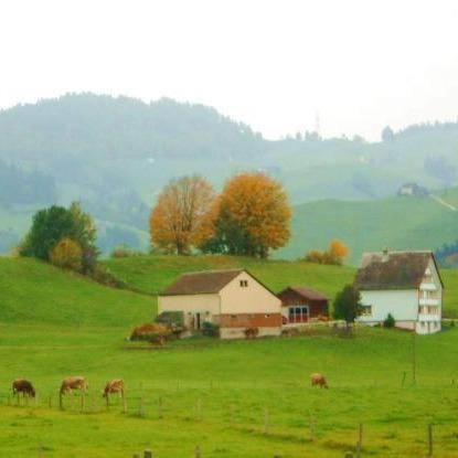 提供配音服務的專家vernon