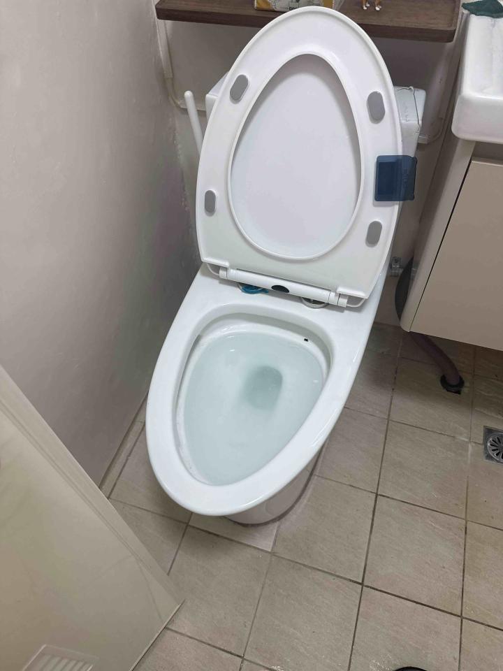 馬桶裝修案件圖片