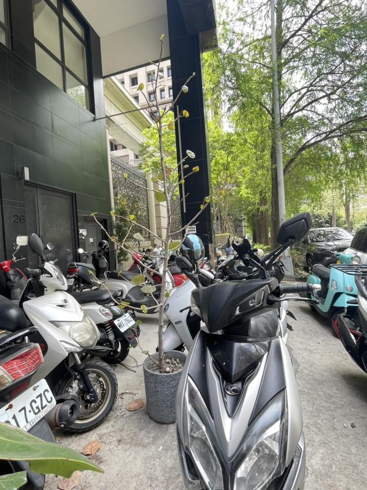 回頭車案件圖片