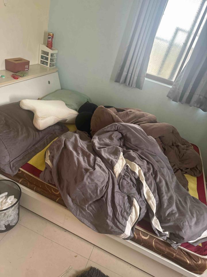 大型垃圾回收案件圖片