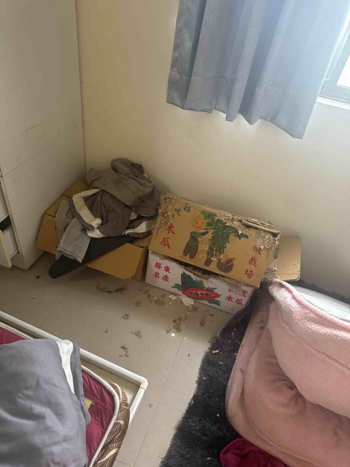 大型垃圾回收案件圖片