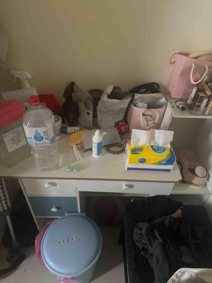 大型垃圾回收案件圖片