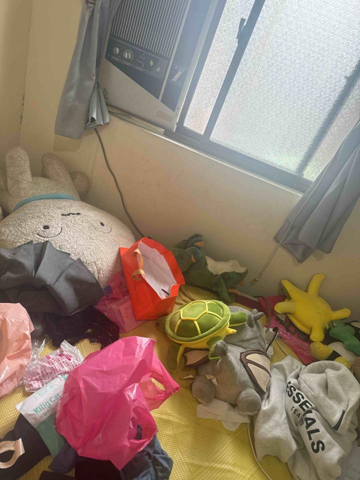 大型垃圾回收案件圖片