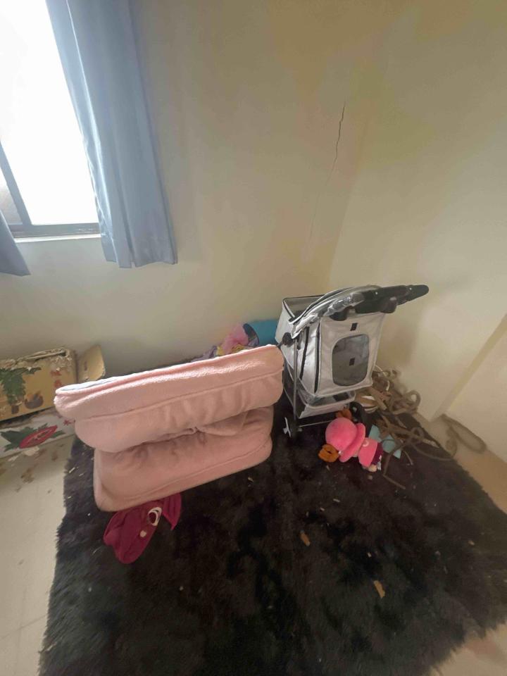 大型垃圾回收案件圖片