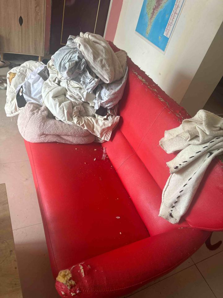 大型垃圾回收案件圖片