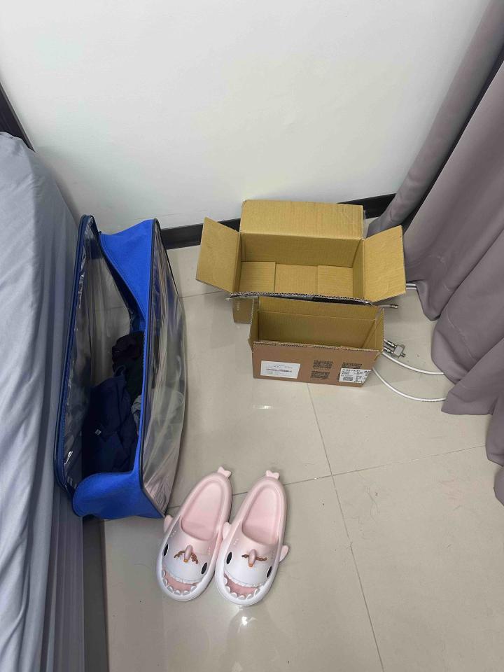 大型垃圾回收案件圖片