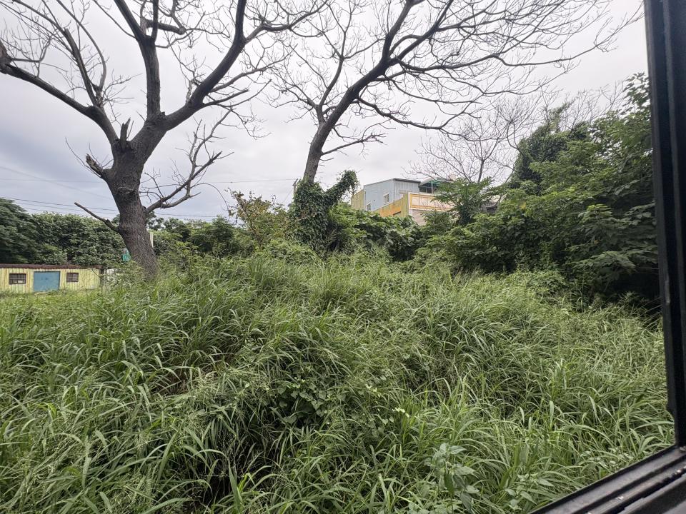園藝維護案件圖片