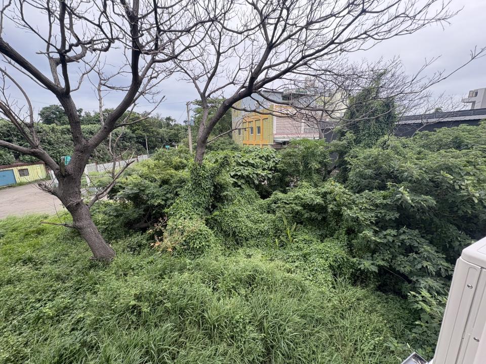 園藝維護案件圖片