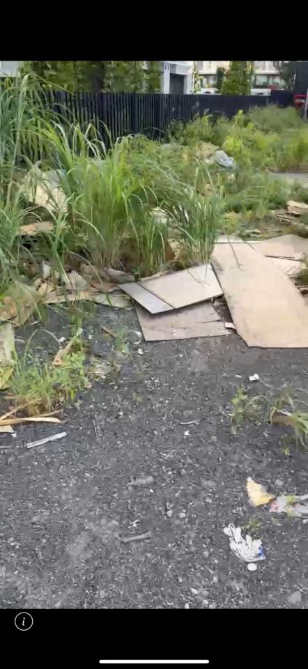 園藝維護案件圖片 園藝維護案件圖片