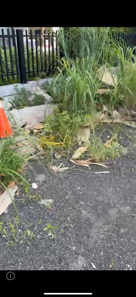 園藝維護案件圖片 園藝維護案件圖片