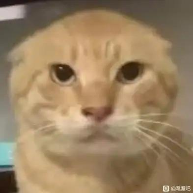 提供ielts寫作班服務的專家劉昌昊