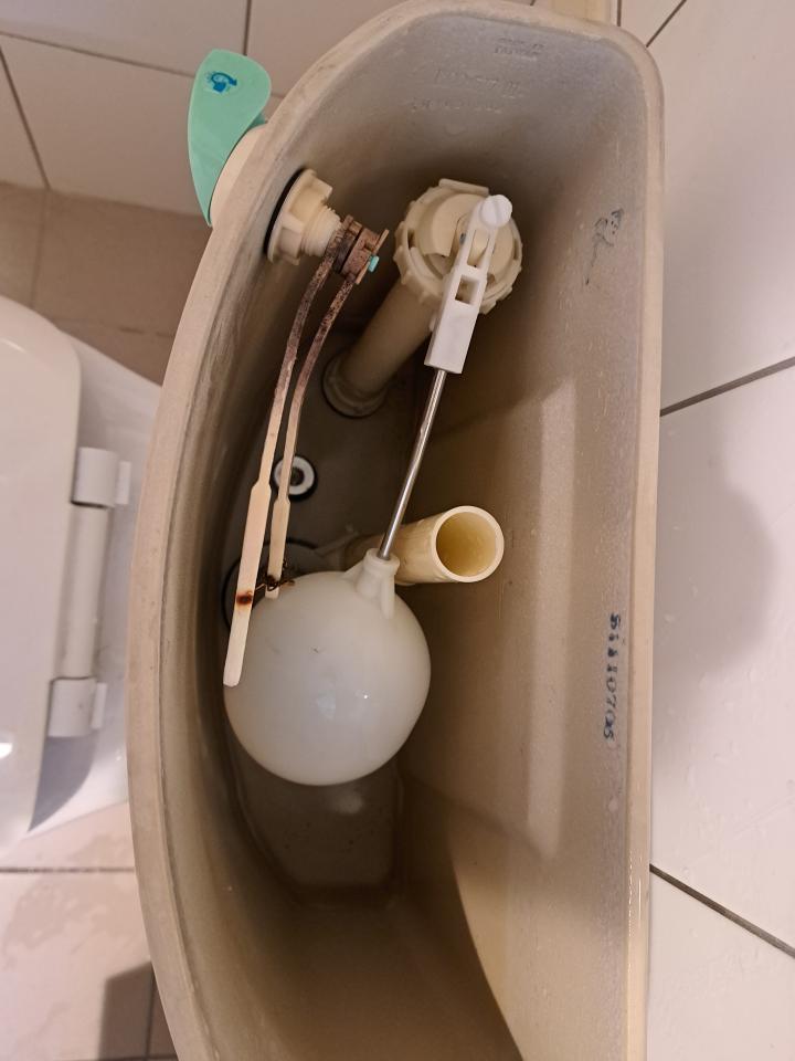 馬桶裝修案件圖片